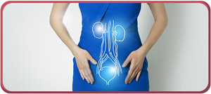 Urogynecologist Near Me in Glendale, CA