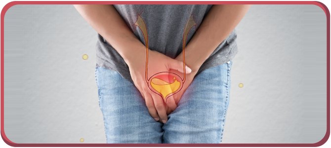 PF Toner Therapy for Urinary Incontinence at The OB-Gyn & Incontinence Center in Arcadia, and Glendale, CA