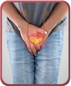 PF Toner Therapy for Urinary Incontinence in Arcadia, and Glendale, CA  - The OB-Gyn and Incontinence Center 